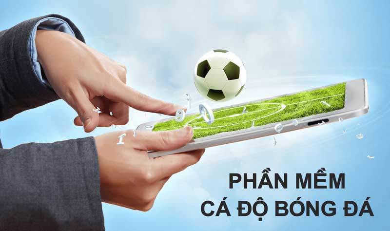 Phần mềm bào cỏ cá cược bóng đá là gì