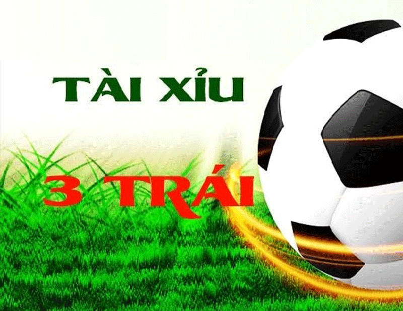 Tài Xỉu 3 Trái Là Sao Cách Chơi Tài Xỉu 3 Trái Hiệu Quả Nhất